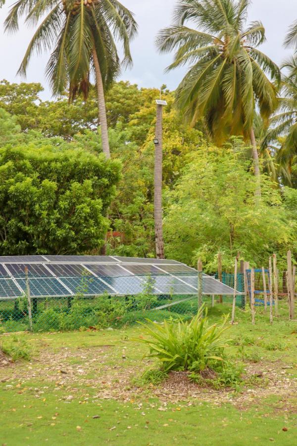 Villa Dahlandia à Isla Mucura Extérieur photo